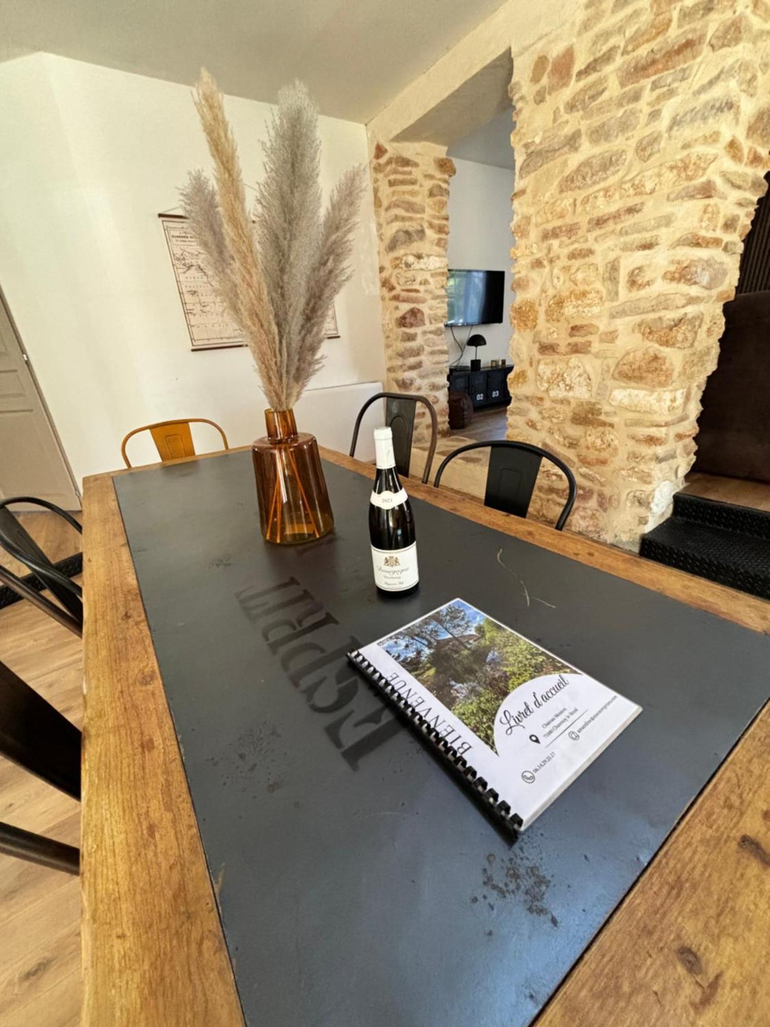 Le Gite Du Chateau Mouton Chatenoy-le-Royal 외부 사진